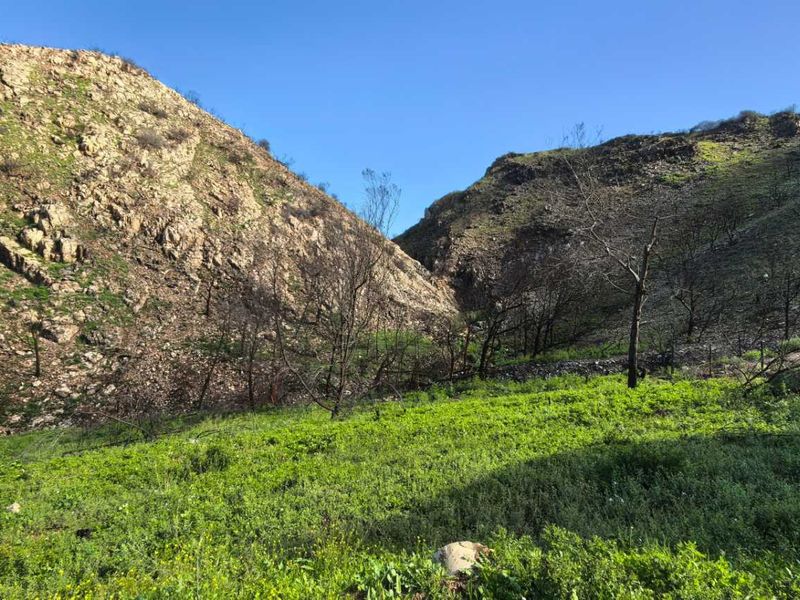 Vacant land for sale in island View - Photo 9
