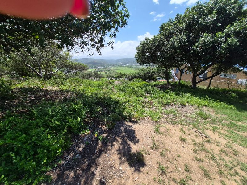 Prime Location: Expansive 1,075m2 Stand in Bergsig, Groot Brak River - Photo 4