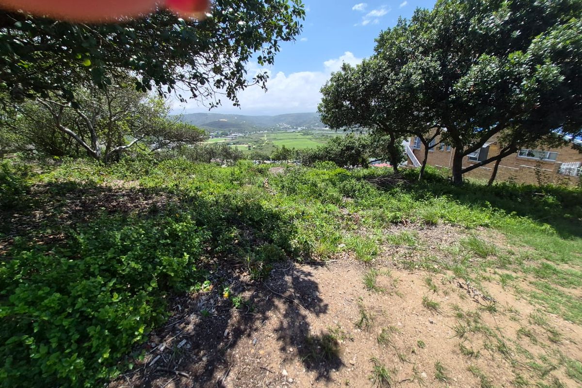 Prime Location: Expansive 1,075m2 Stand in Bergsig, Groot Brak River - Photo 4