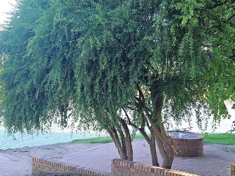 Double storey four bedroom thatch house on the banks of the Vaalriver - Photo 4