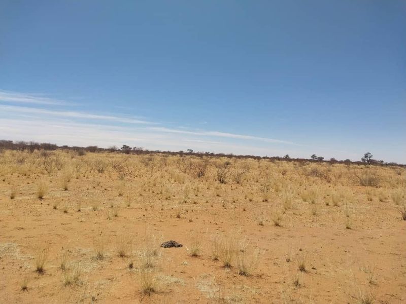 South Rehoboth - Photo 6