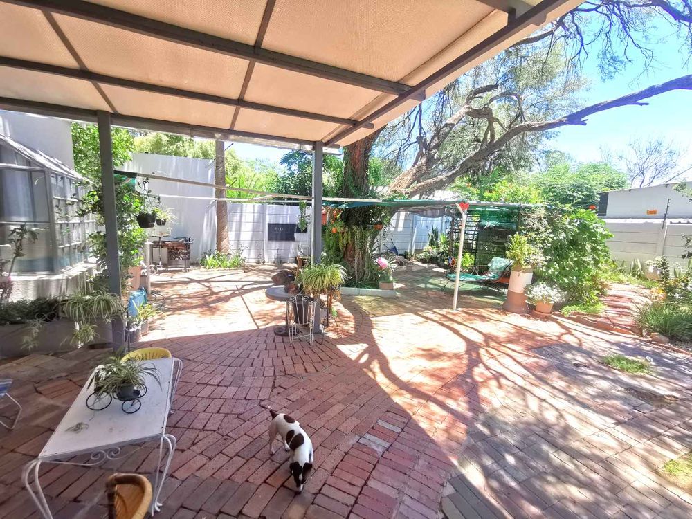 MAIN DWELLING BACK YARD AREA WITH BEAUTIFUL TREES ALL AROUND 