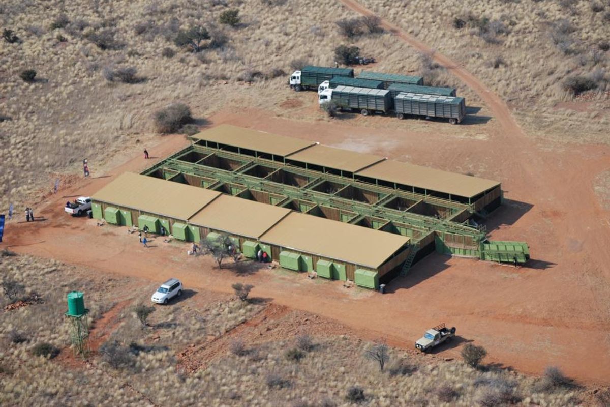 Aerial view of a large, multi-sectioned livestock handling facility or lodge utility structure situated in a rural landscape.