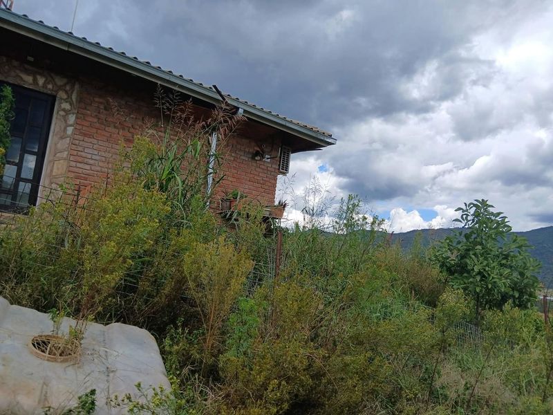 Rear view of a brick farmhouse featuring a tiled roof and exterior air conditioning unit, surrounded by overgrown garden vegetation.