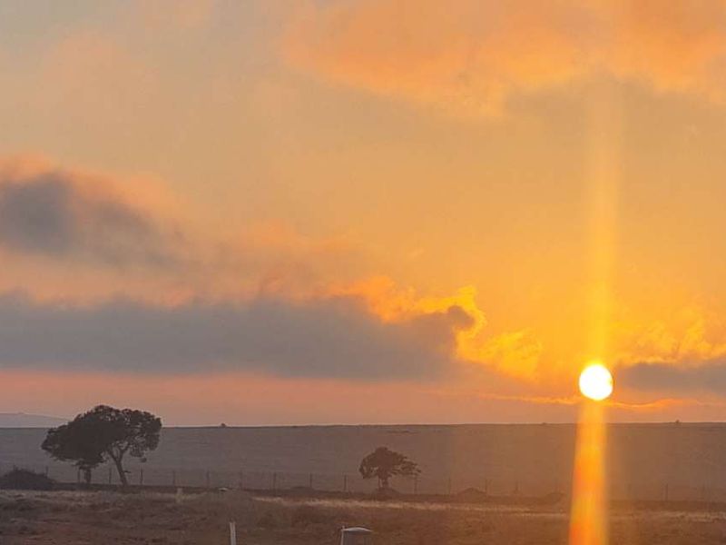 Vacant Stand for Sale – 18 Bird Walk, Darling Green 685m2 | Developing Estate Environment - Photo 10