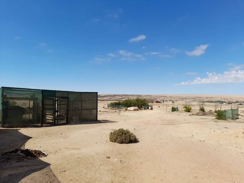 Expansive arid small holding grounds featuring a large mesh enclosure, perimeter fencing, and open landscape views.