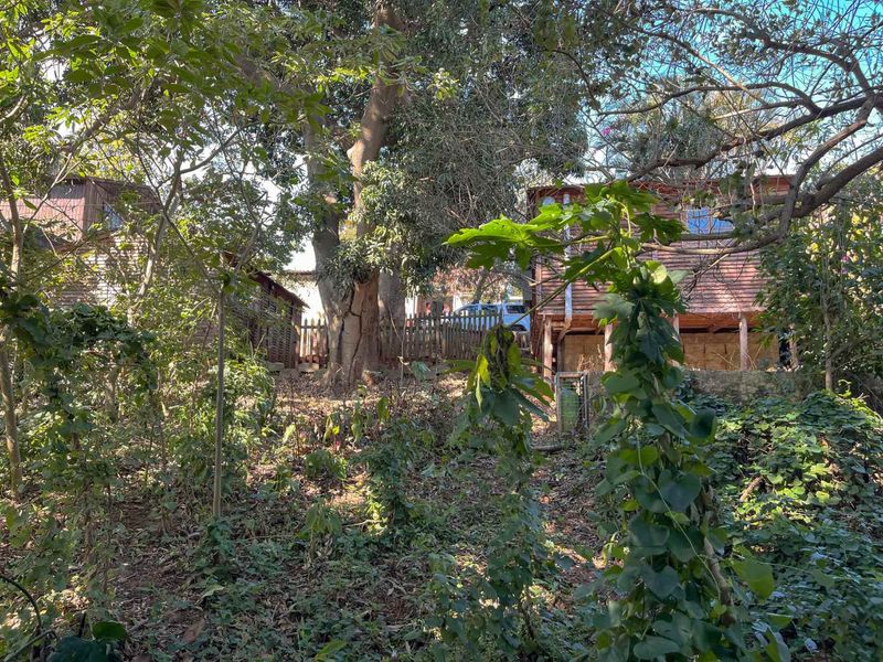 Calling all developers! - Photo 8