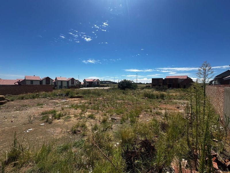 Prime Vacant Land Opportunity in Wild Olive Estate - Photo 4