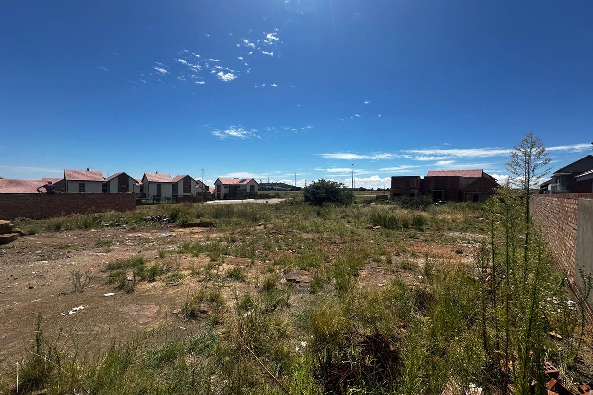 Prime Vacant Land Opportunity in Wild Olive Estate - Photo 4