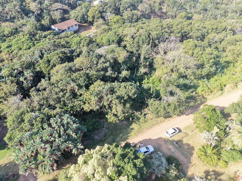 An aerial view of a large, heavily wooded residential plot featuring dense natural vegetation and access via a dirt road.