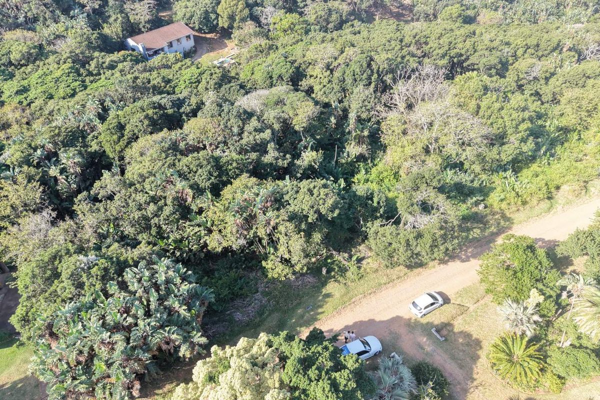 An aerial view of a large, heavily wooded residential plot featuring dense natural vegetation and access via a dirt road.