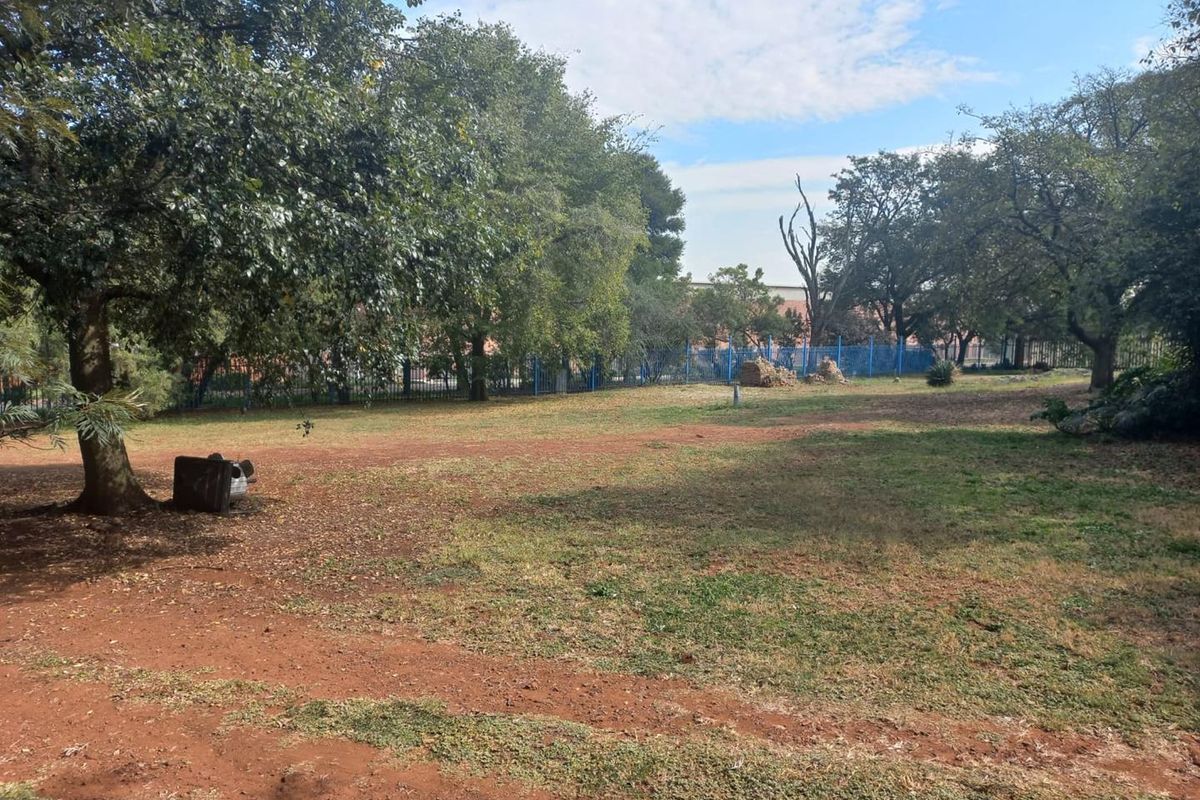 Small Holding for sale!!  UPGRADED AND NEWLY RESTORATED  Opportunity for Investment - Photo 3