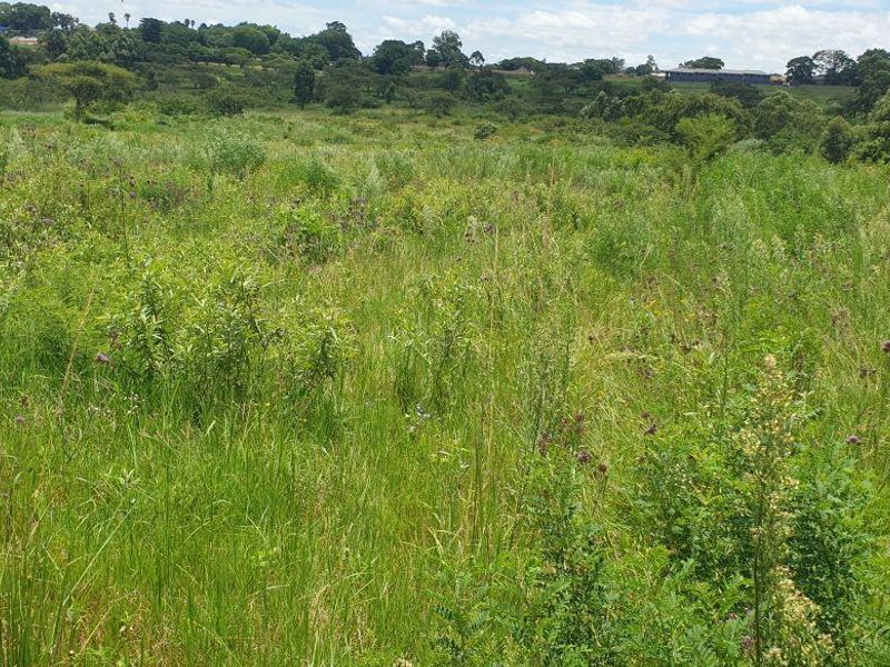 Lovely farm for sale with good soil and ready for its new owner with ambition. - Photo 10