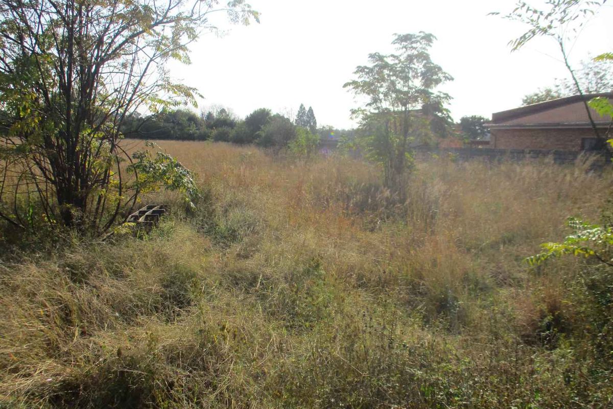 Enjoy the tranquility of Henley - Photo 5