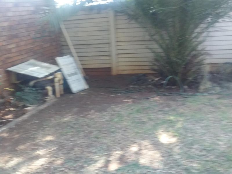 A rear garden area featuring a brick boundary wall, timber fencing, and established palm tree, requiring maintenance and landscaping.