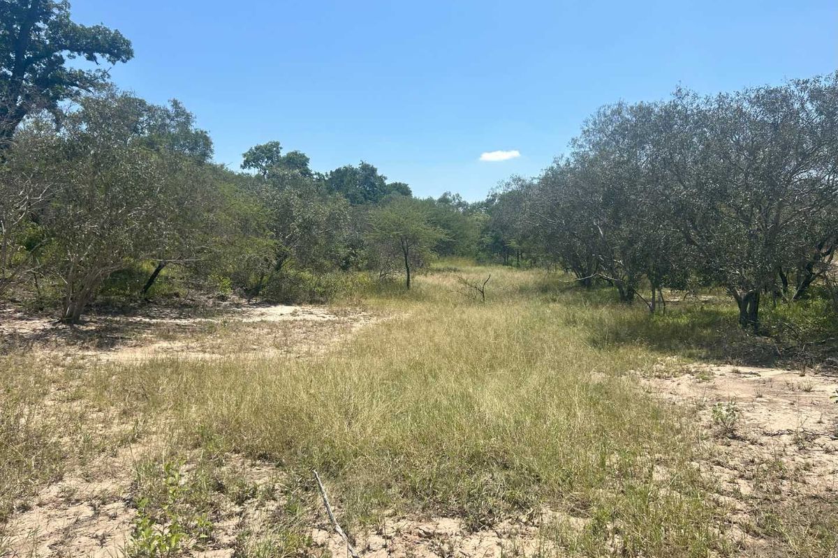 MODITLO WILDLIFE ESTATE - Vacant land for sale! - Photo 5