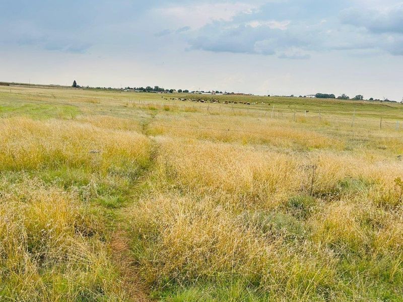 Large land for sale - Photo 4