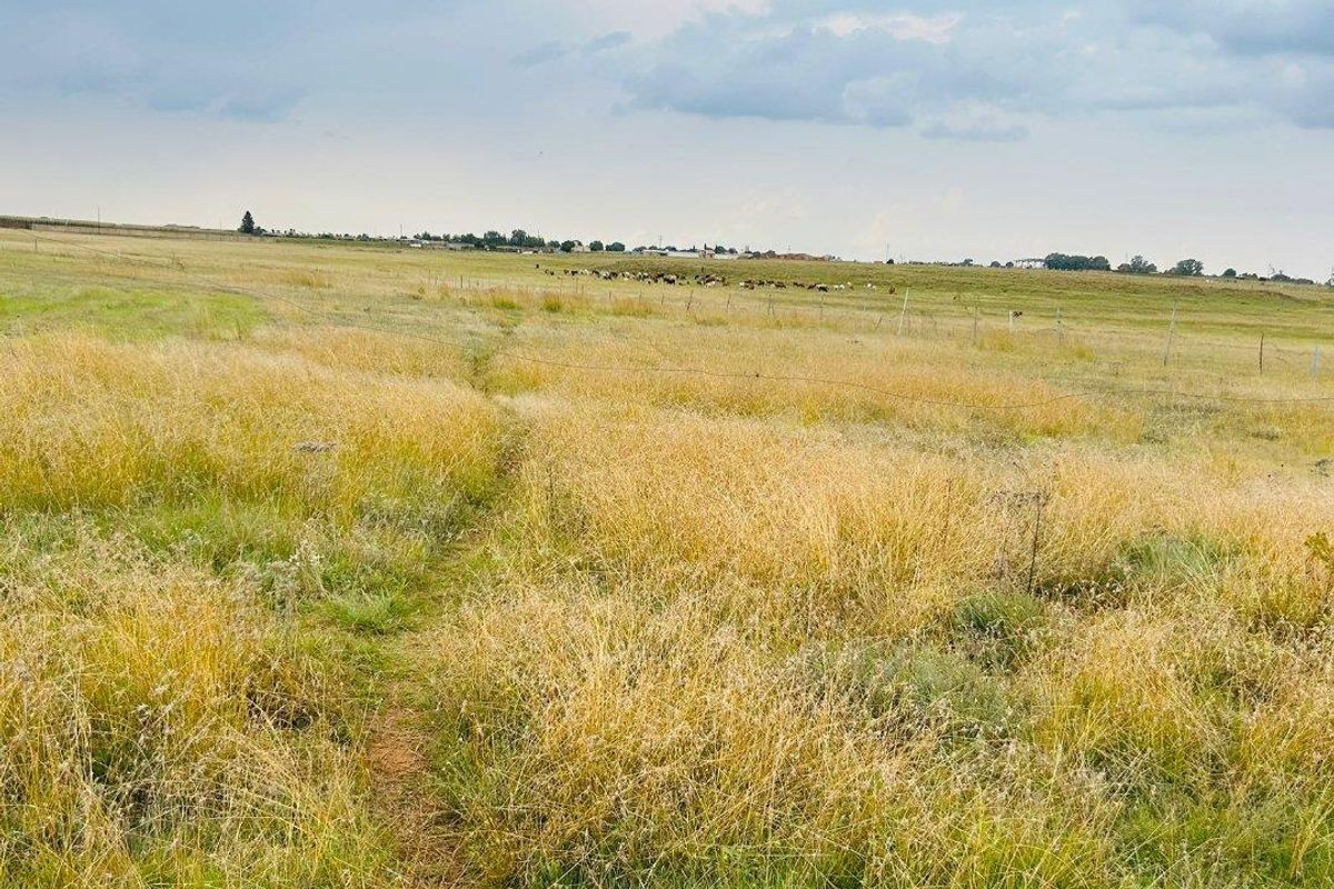 Large land for sale - Photo 4