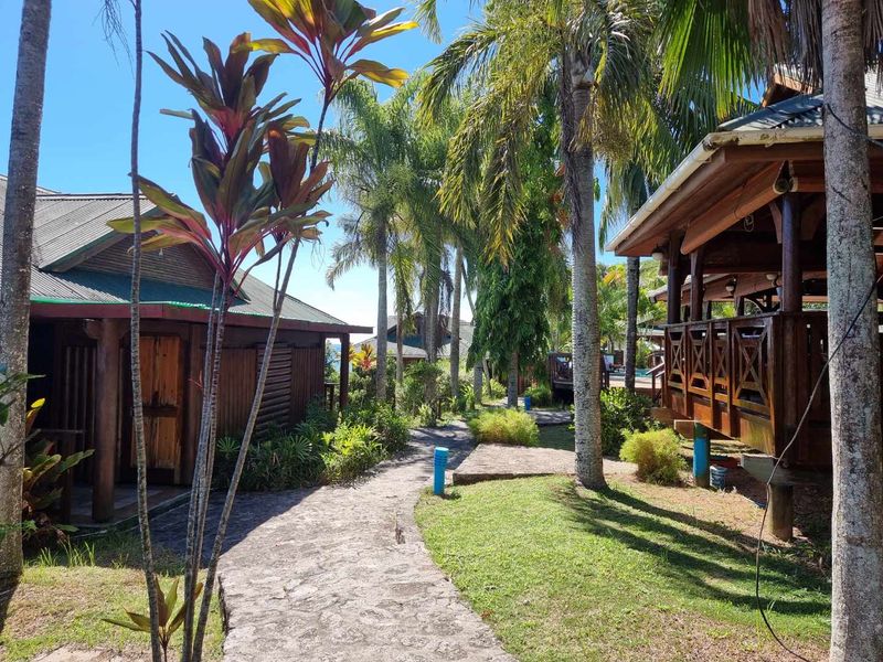A lush garden pathway leading between timber-framed commercial structures, featuring stone paving, mature palm trees, and integrated outdoor lighting.