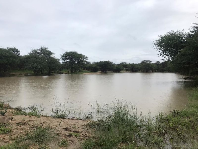 A natural dam on the small holding, surrounded by indigenous trees and natural vegetation, providing a peaceful landscape view.