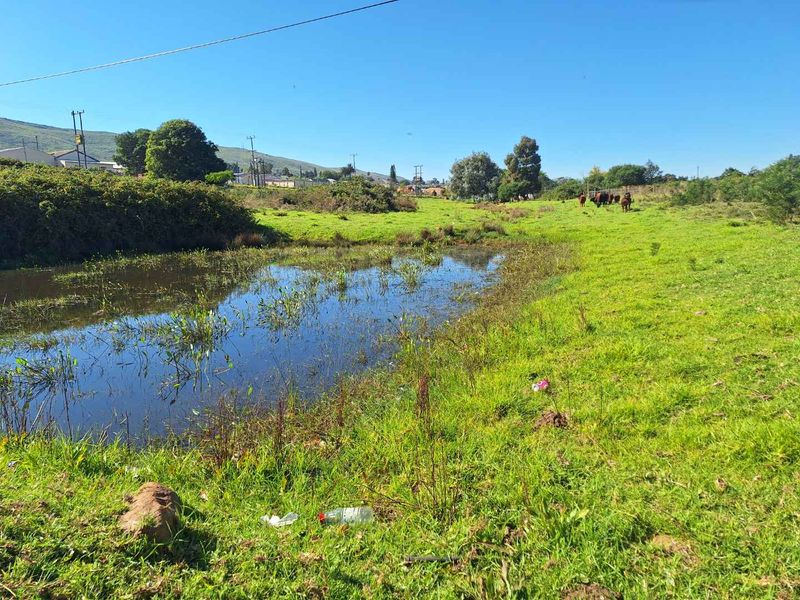 Somewhere Dreamy - Photo 6