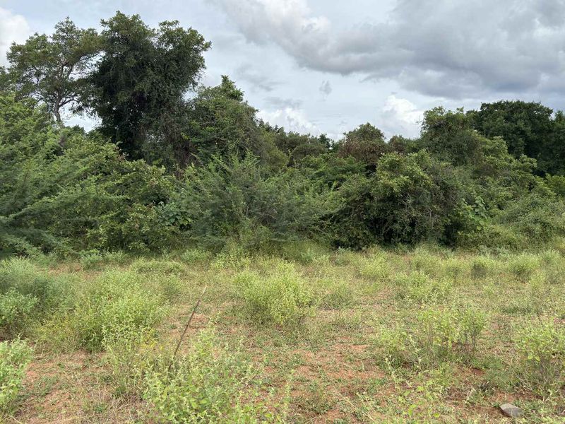 Rare vacant riverside stand in Elephant Rock Eco Estate - Photo 6