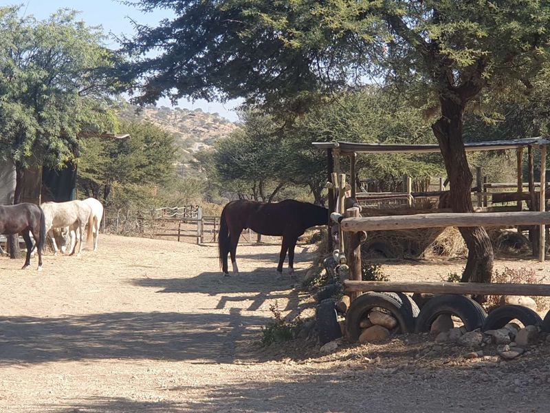 5-Hectare Equestrian Estate with Two Homes – Brakwater, Windhoek5ha Equestrian Estate with 2 Homes - Photo 2