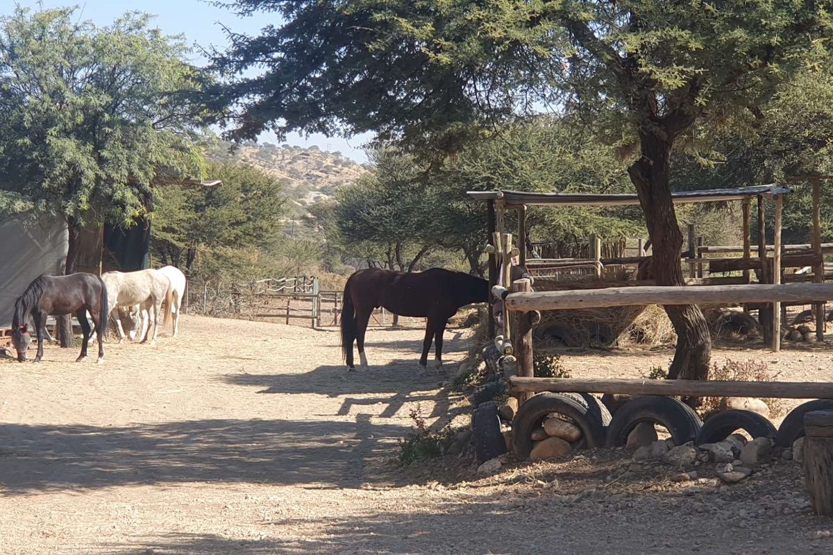 5-Hectare Equestrian Estate with Two Homes – Brakwater, Windhoek5ha Equestrian Estate with 2 Homes - Photo 2