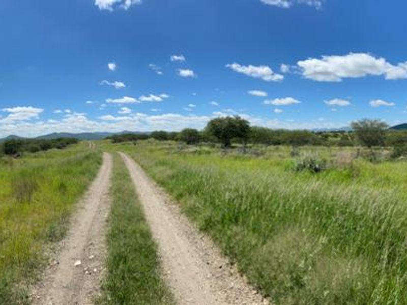 A panoramic view of the small holding property featuring a dirt access track winding through open natural grassland and indigenous vegetation.