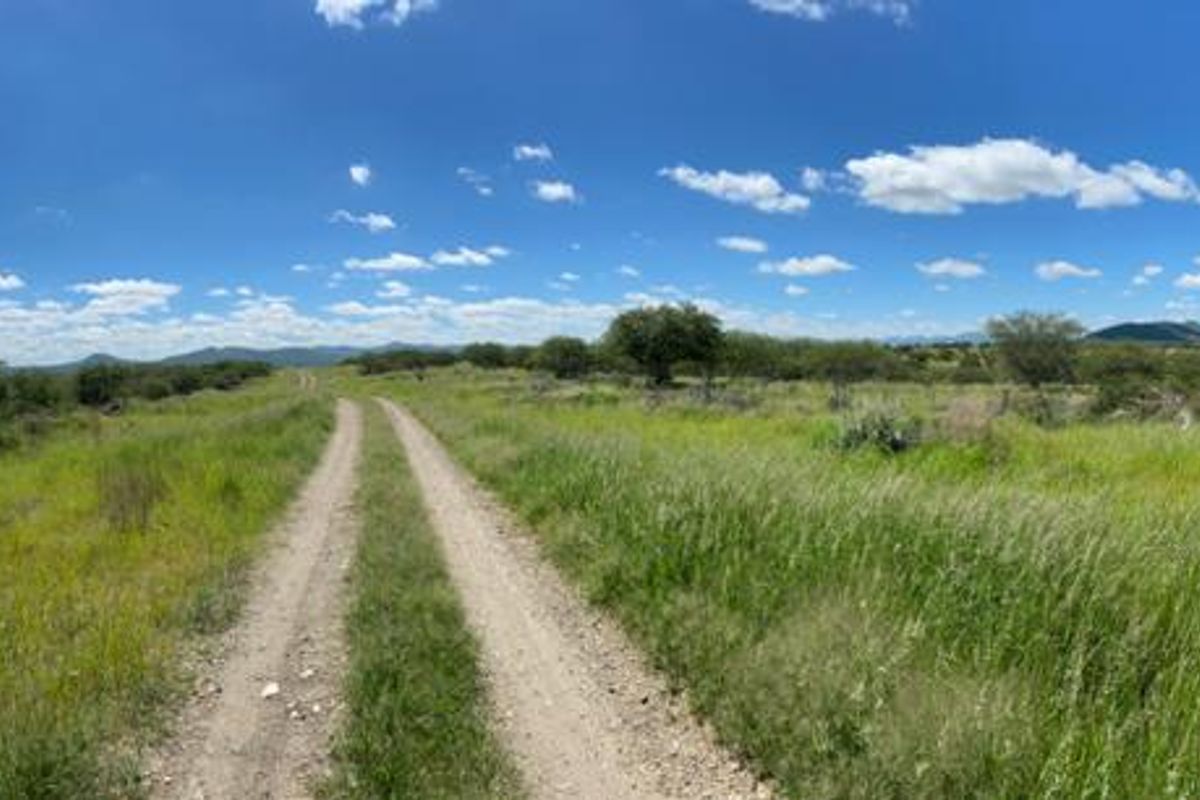 A panoramic view of the small holding property featuring a dirt access track winding through open natural grassland and indigenous vegetation.