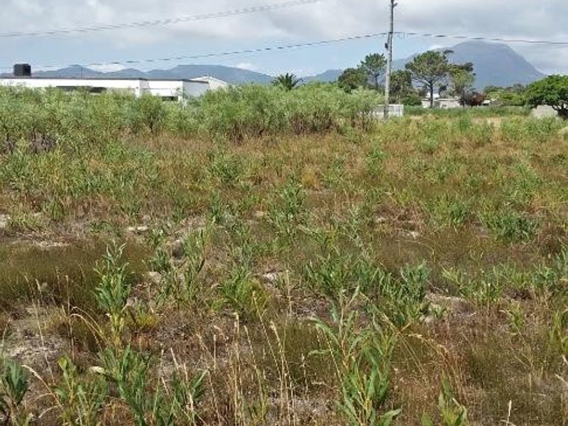 A Haven to Hold - Photo 3