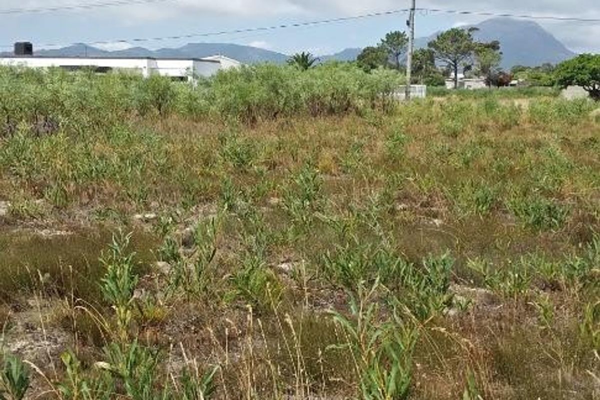 A Haven to Hold - Photo 3