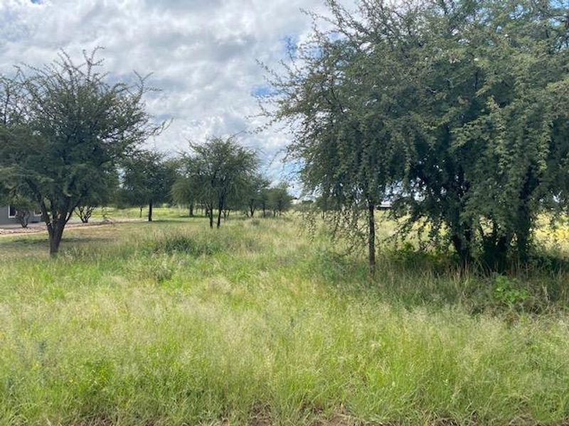 A view of a vacant residential plot featuring established trees and natural grassland vegetation.