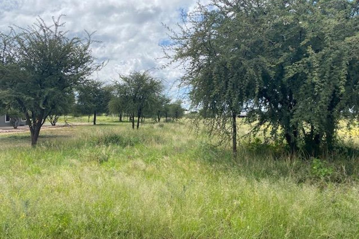 A view of a vacant residential plot featuring established trees and natural grassland vegetation.
