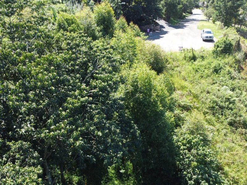 Discover an exceptional opportunity to own prime vacant land in one of the most sought-after areas of the Upper Highway in Gillitts. - Photo 4