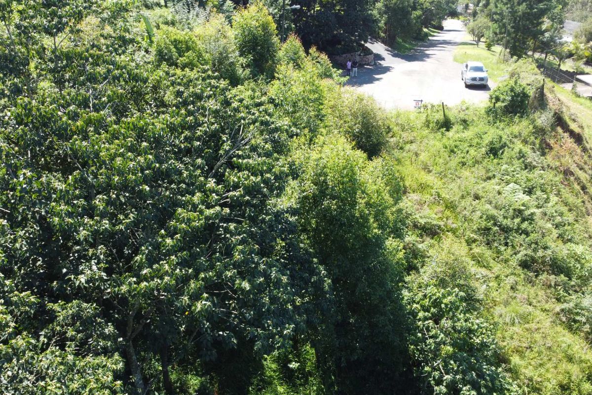 Discover an exceptional opportunity to own prime vacant land in one of the most sought-after areas of the Upper Highway in Gillitts. - Photo 4