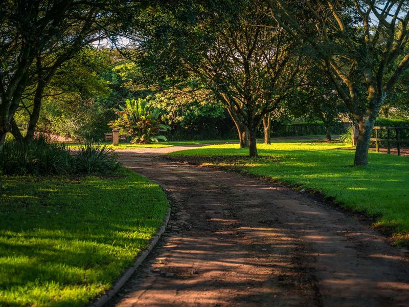 Breathtaking 3 Bedroom Modern Home in Alverstone Equestrian Estate - Photo 3