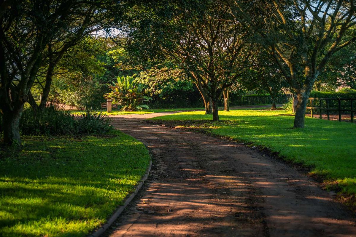 Breathtaking 3 Bedroom Modern Home in Alverstone Equestrian Estate - Photo 3