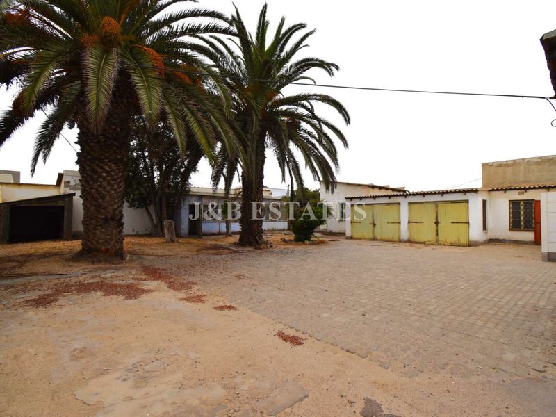Spacious exterior yard area featuring mature palm trees, paved surfaces, and multiple garage units, offering significant potential for development or storage.