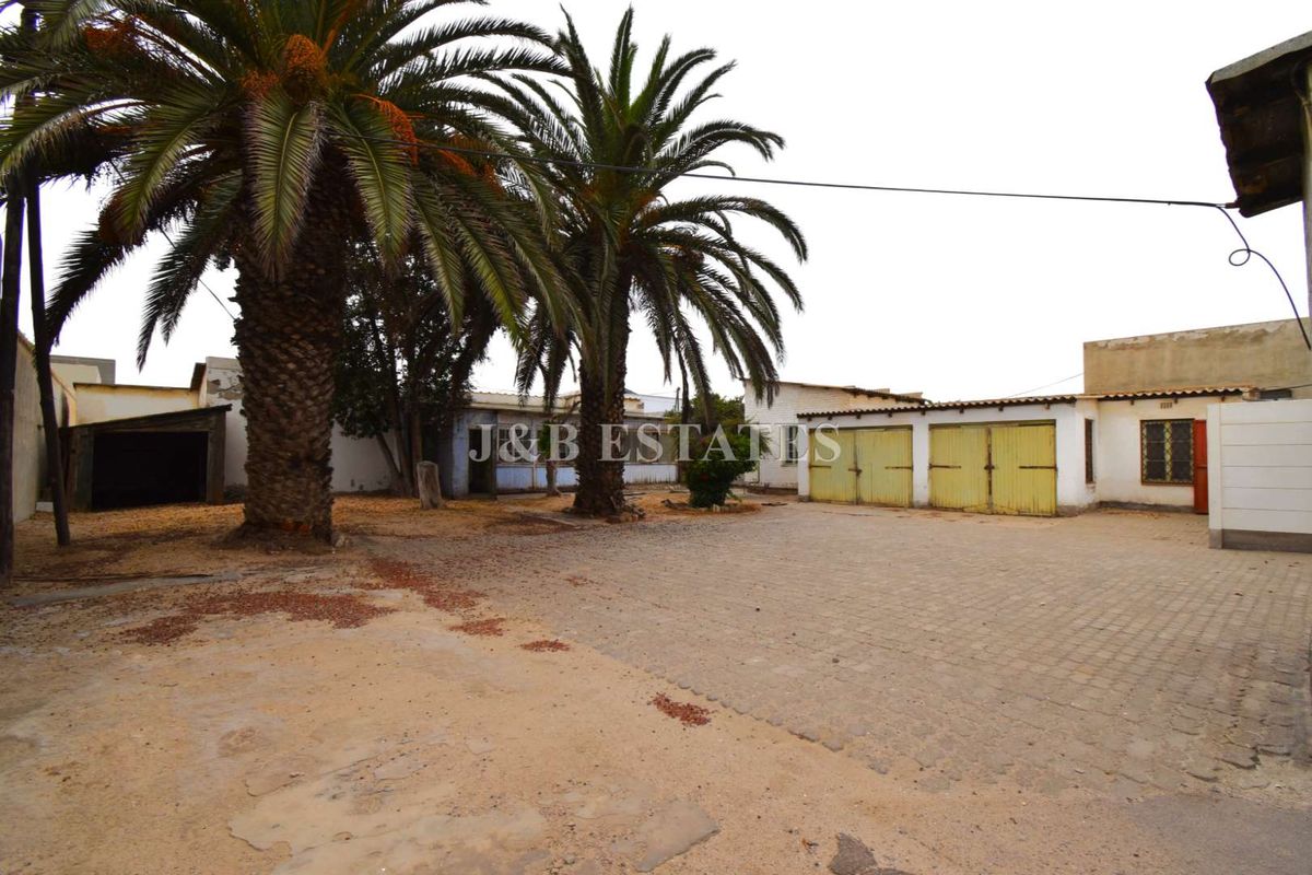 Spacious exterior yard area featuring mature palm trees, paved surfaces, and multiple garage units, offering significant potential for development or storage.