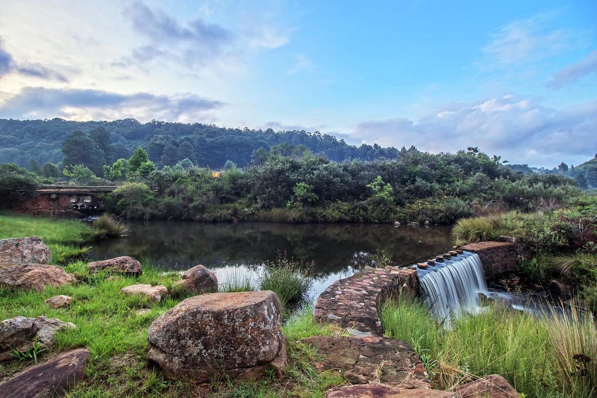 The Manor at Walkersons Private Estate - An Unrivalled Legacy Residence - Photo 5