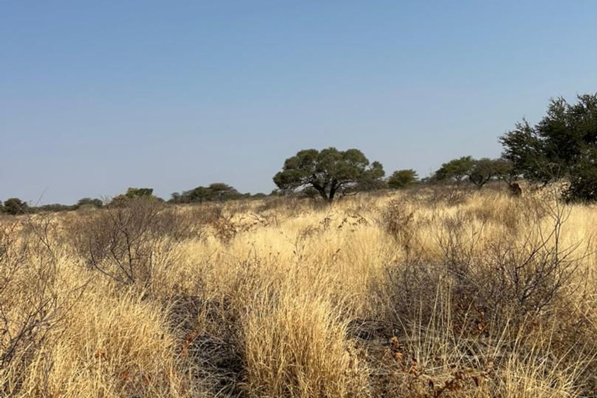 Phase 3 Omuramba Now selling! - Photo 4