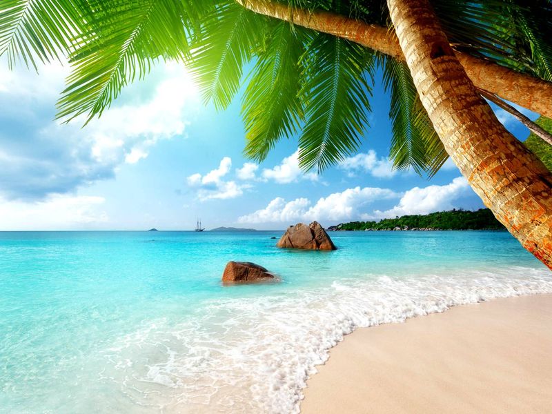 A Slice of Paradise - Grand Anse, Praslin - Photo 10