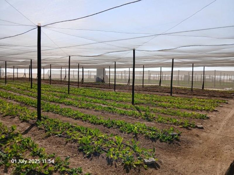 A cultivated agricultural plot featuring a large-scale shade netting structure and an integrated irrigation system for crop production.