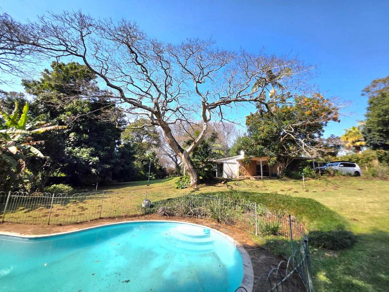 A spacious backyard featuring a swimming pool with metal safety fencing, surrounded by mature trees and a large lawn area.