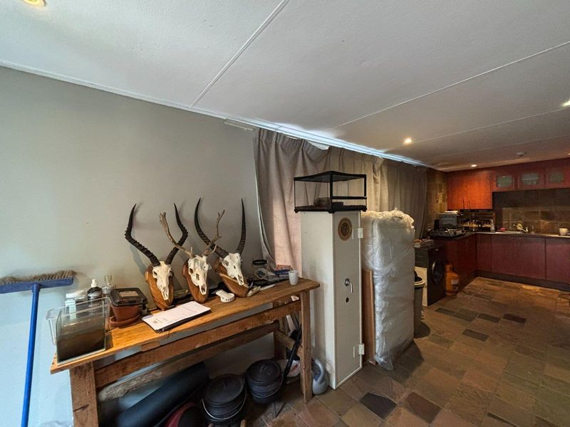 Charming and Private Granny Flat Available in Murrayfield - Photo 2