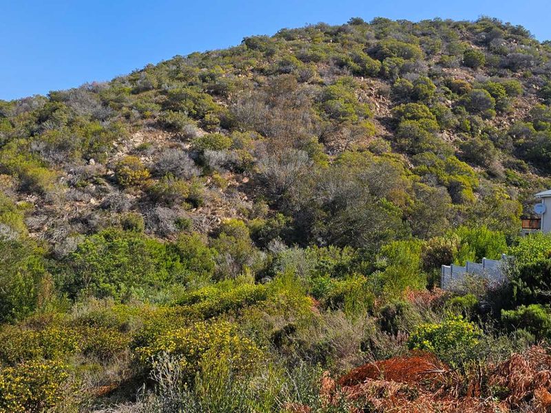 Duet Opportunity Vacant plot for a steal! - Photo 7