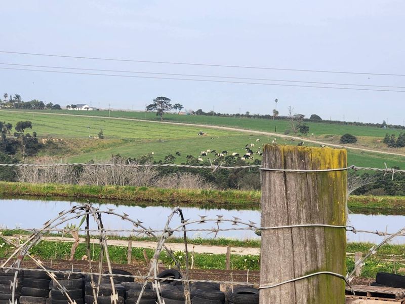 A scenic view overlooking a farm landscape featuring a dam, rolling green pastures, and perimeter fencing.