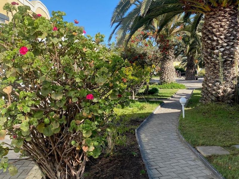 3 Bedroom Townhouse to let, Kramersdorf, Swakopmund - Photo 3