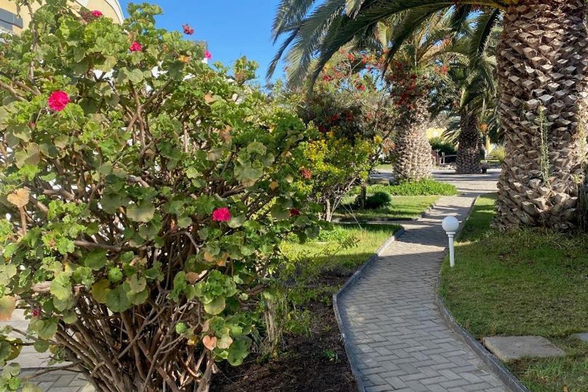 3 Bedroom Townhouse to let, Kramersdorf, Swakopmund - Photo 3